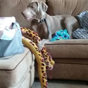 Meet your Posher, Michell