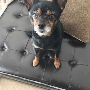 Meet your Posher, Lynette