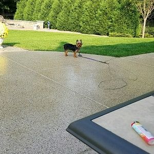 Meet your Posher, Karen