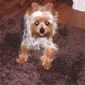 Meet your Posher, Marjan