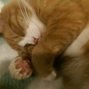 Meet your Posher, Lois