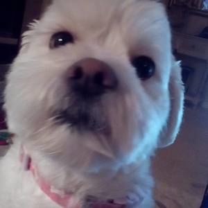 Meet your Posher, Katrina