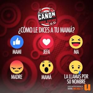 Meet your Posher, Herbert