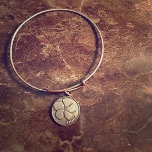 Alex and Ani bracelet
