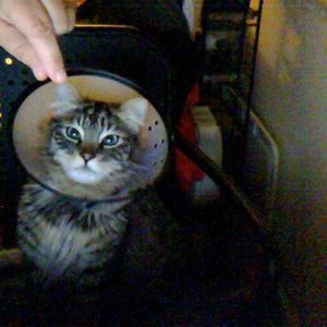 Meet your Posher, Tina