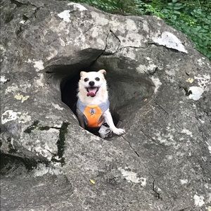 Meet your Posher, Christina