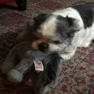 Meet your Posher, Sierra