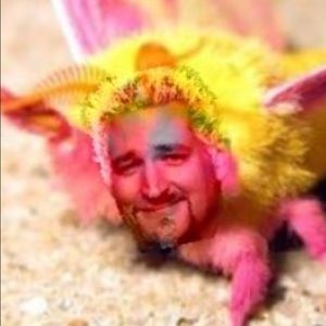 Meet your Posher, Josh