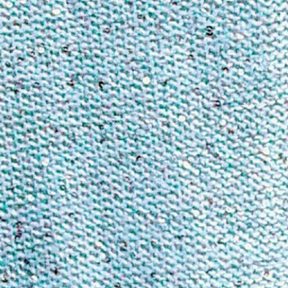 Jacquelin Smith Sweaters - Jaclyn Smith Sequined Sweatter