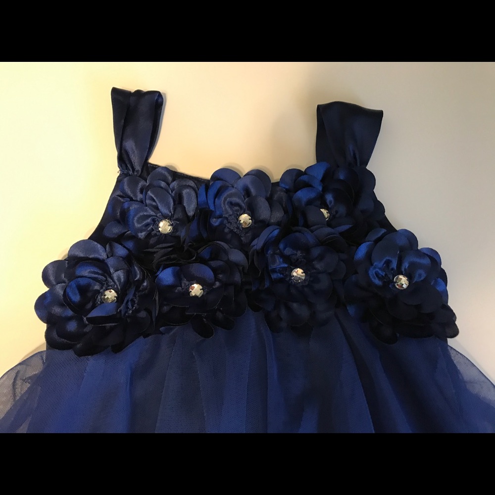Biscotti Navy Blue Dress 5T