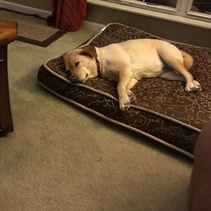 Meet your Posher, Beth