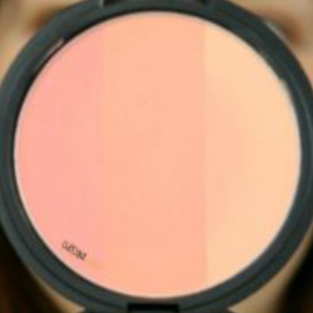 Too Cool for School Art Class Blusher