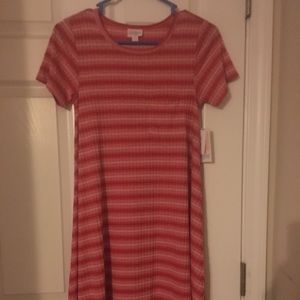 Xxs Lularoe Carly