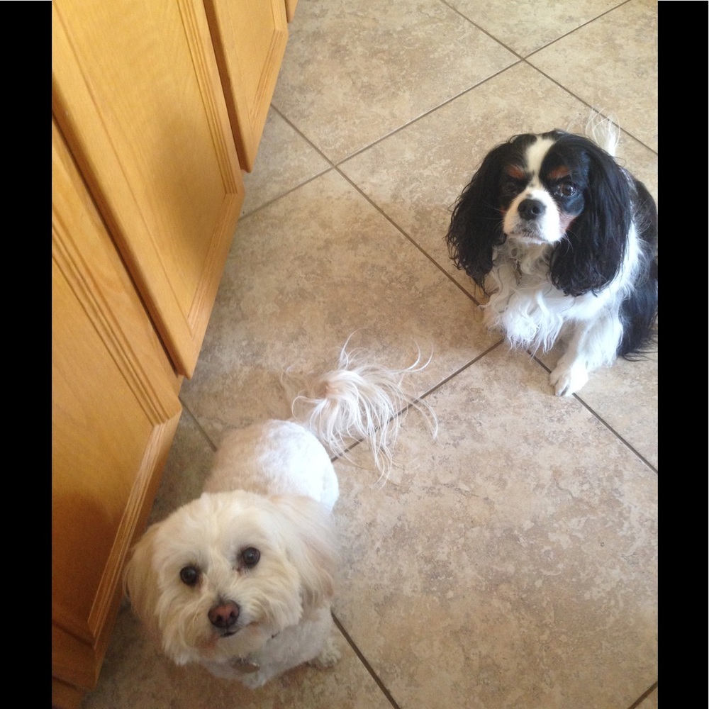 Meet your Posher, Amy