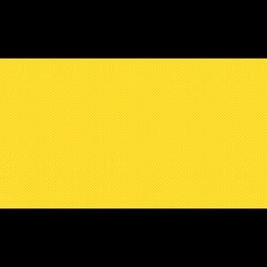 Meet your Posher, Sasha