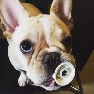 Meet your Posher, Kuo