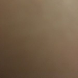 Meet your Posher, Layla