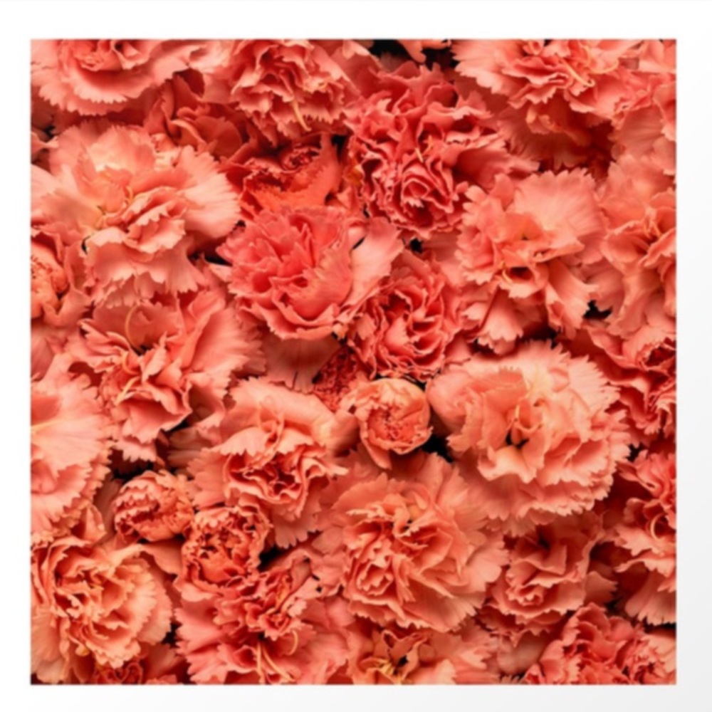 Society 6 Tapestry coral carnations