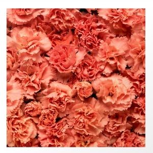 Society 6 Tapestry coral carnations