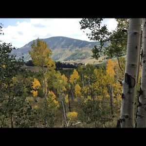 Meet your Posher, Lexie