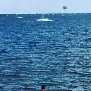 Meet your Posher, Fernandom