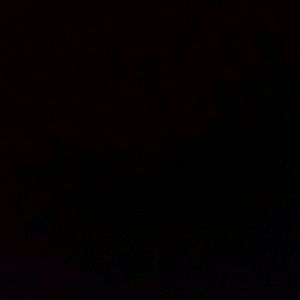 Meet your Posher, Martha