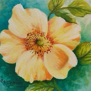 Meet your Posher, Alexa