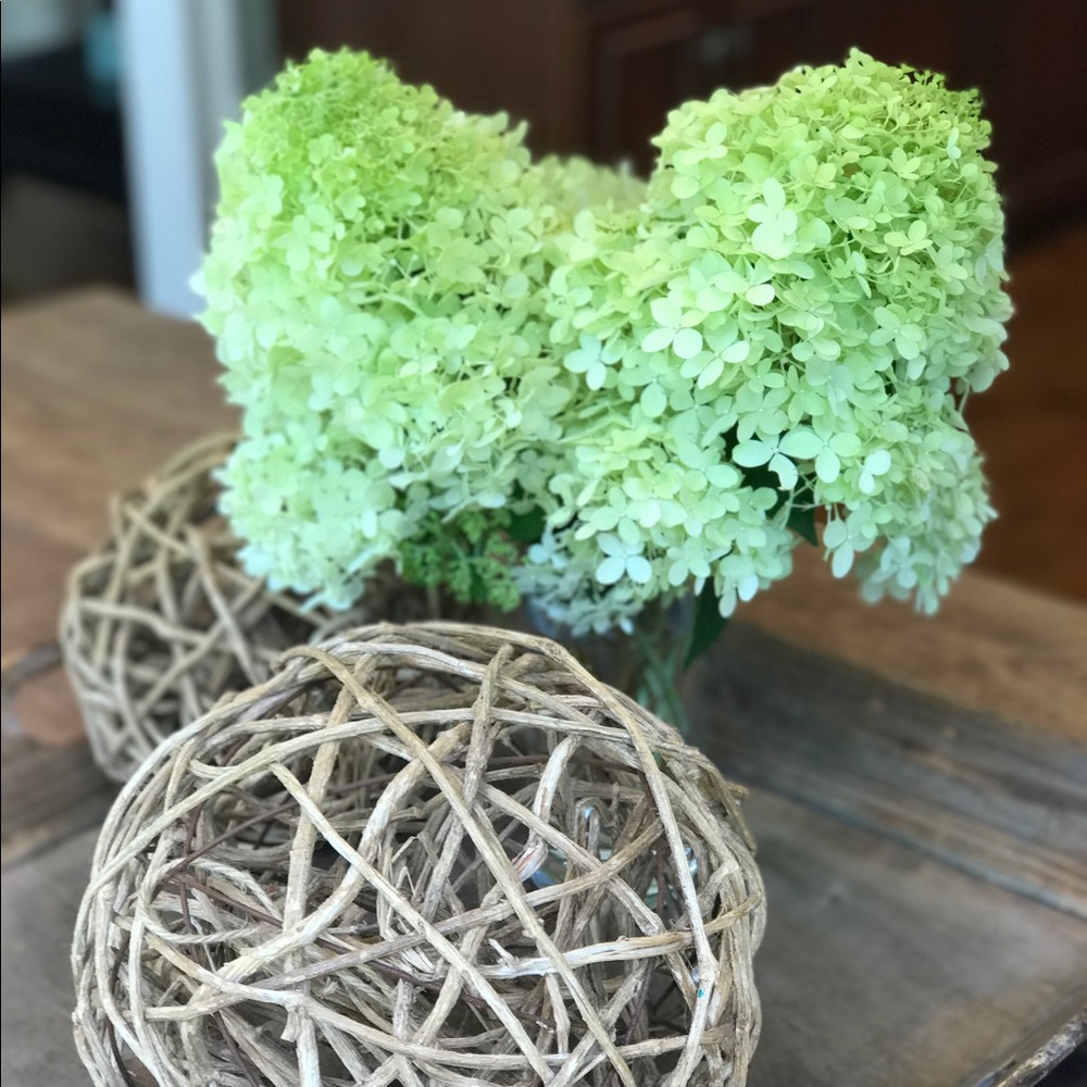 Meet your Posher, Shelly