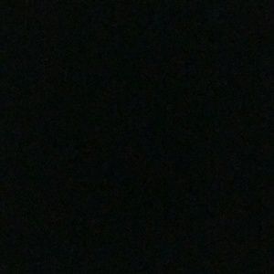 Meet your Posher, Landon