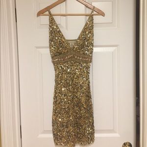 Arden B. Sequin Dress