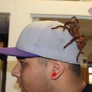 Meet your Posher, James