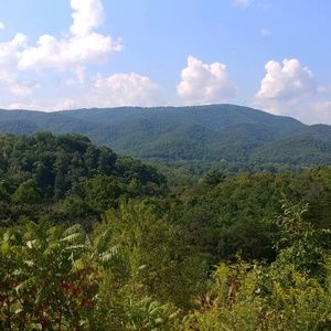 Meet your Posher, Randi