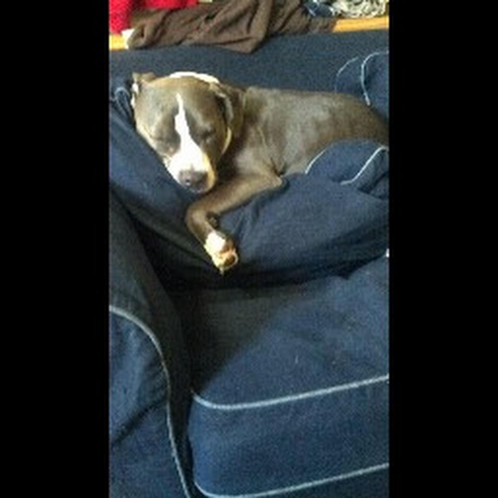 Meet your Posher, Gun