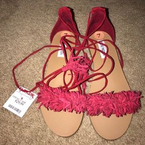 Steve Madden sandals NWT