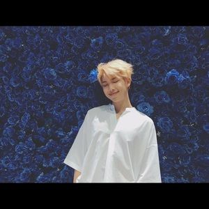 Meet your Posher, Ariel