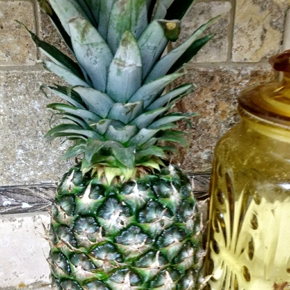 Meet your Posher, Makayla