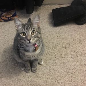 He's for sale too LOL ON SOME DAYS