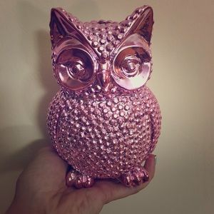 Pier 1 Pink Owl Piggy Bank