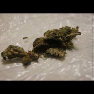 Meet your Posher, Spike