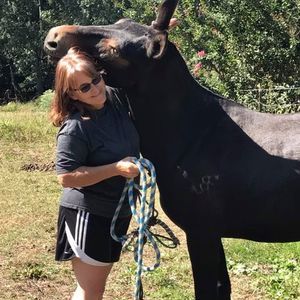 Meet your Posher, Melinda