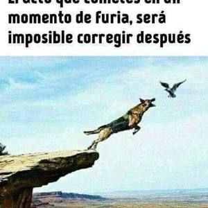 Meet your Posher, El