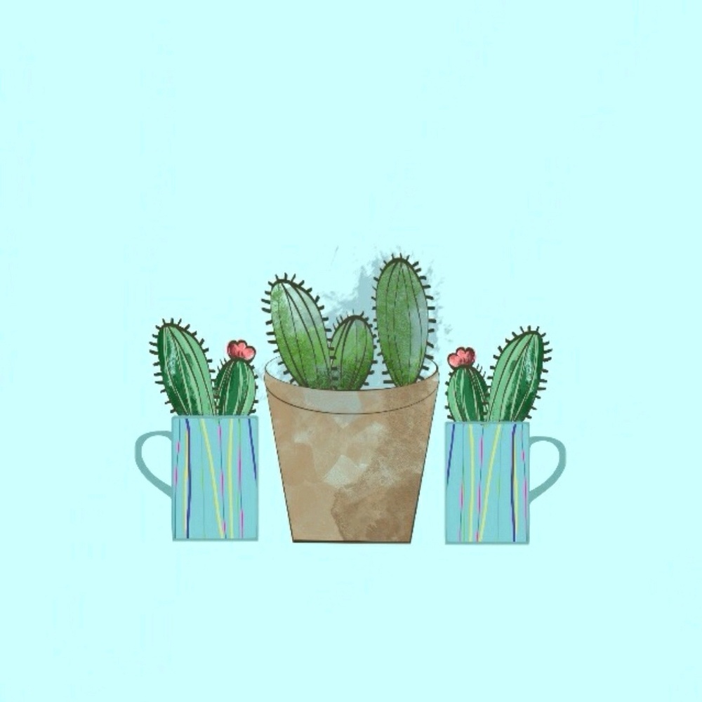 Meet your Posher, Colette