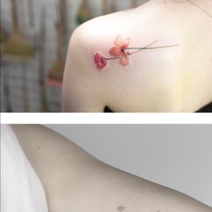 Meet your Posher, Tina