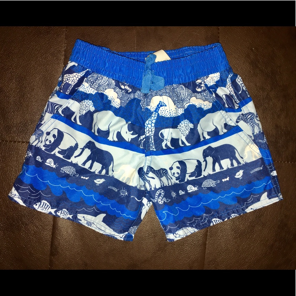 Monsoon Swim trunks