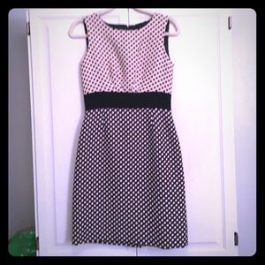 Tahari Dress