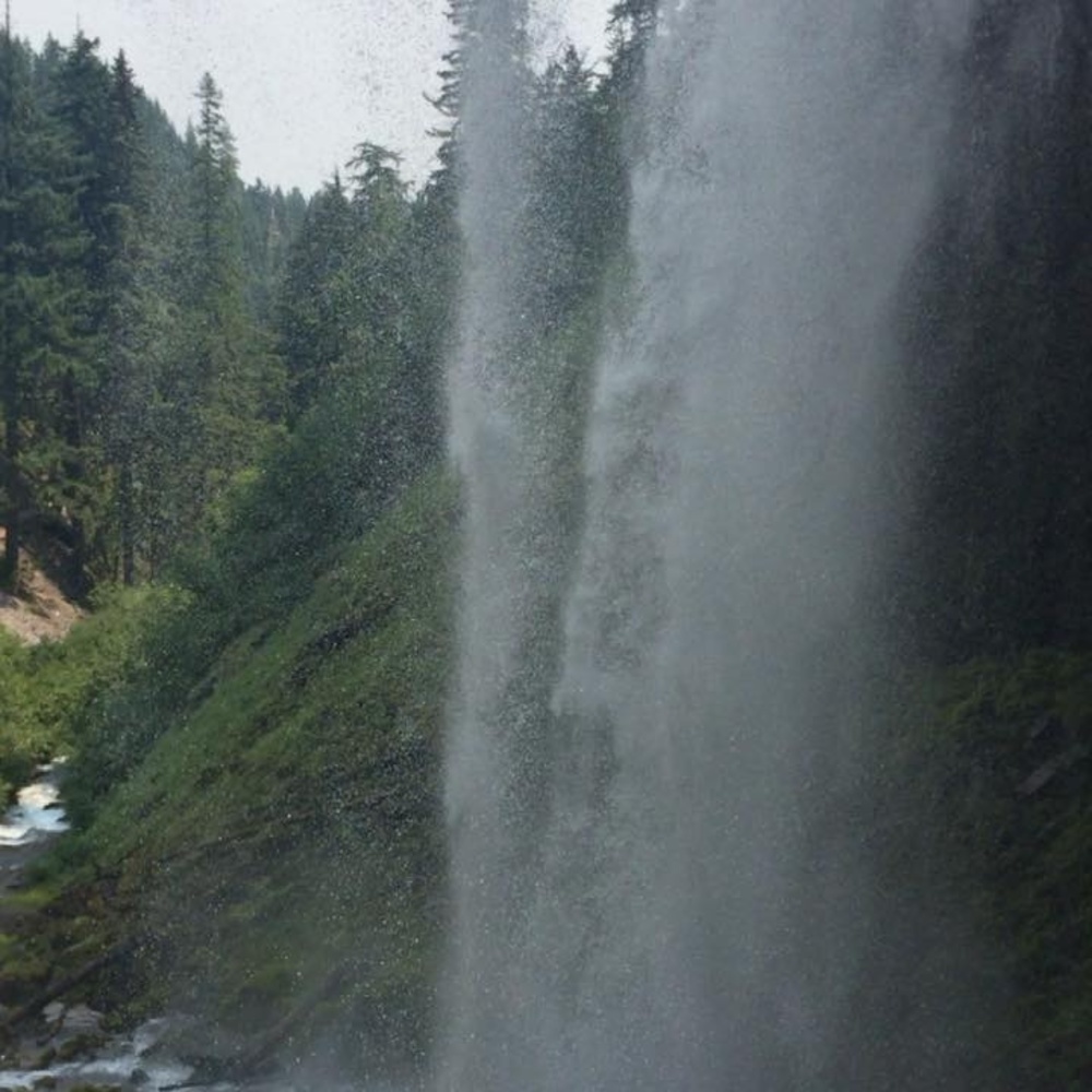 Meet your Posher, Maryam