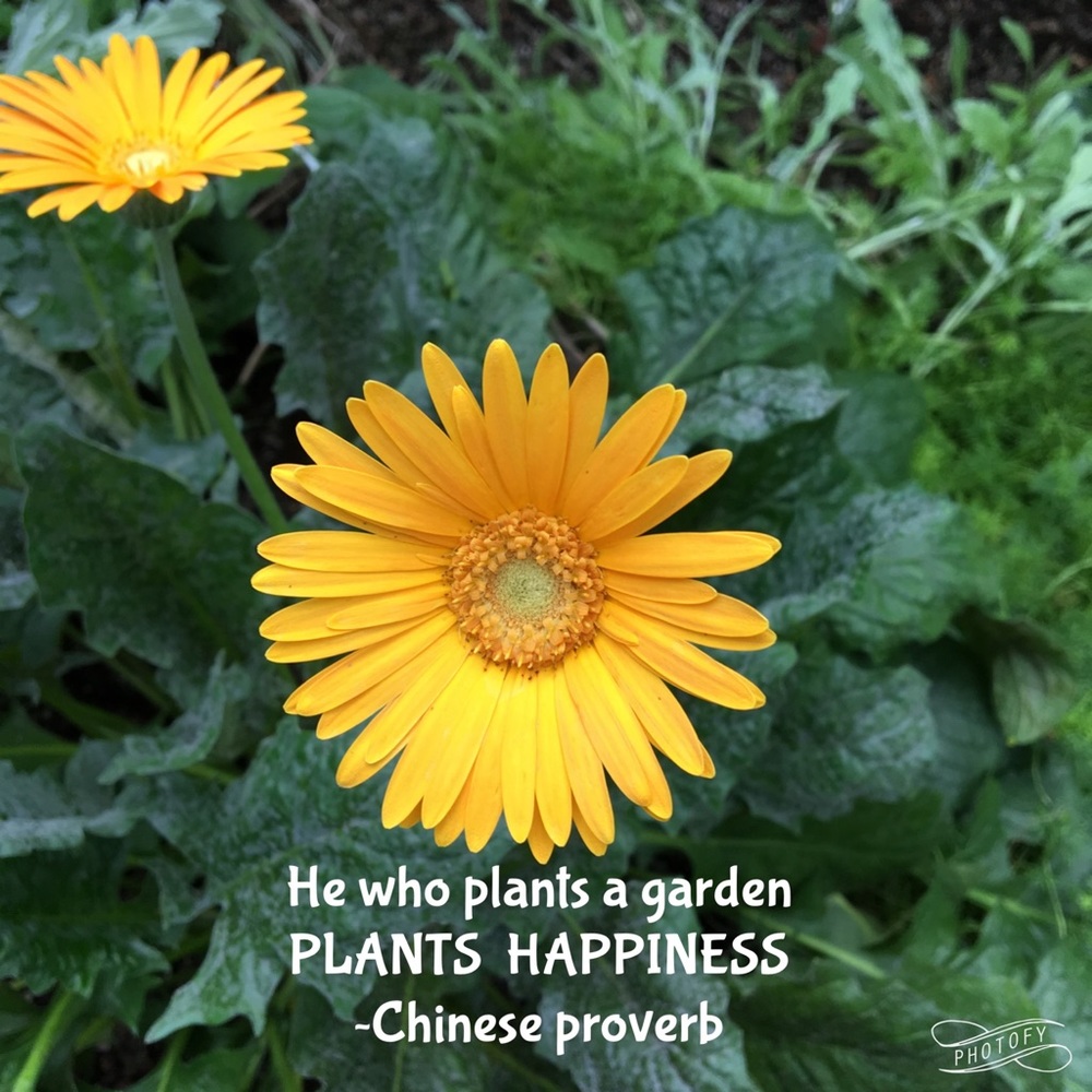 Happiness Smiles Beauty Nature Wonder Love