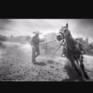 Meet your Posher, Daniela