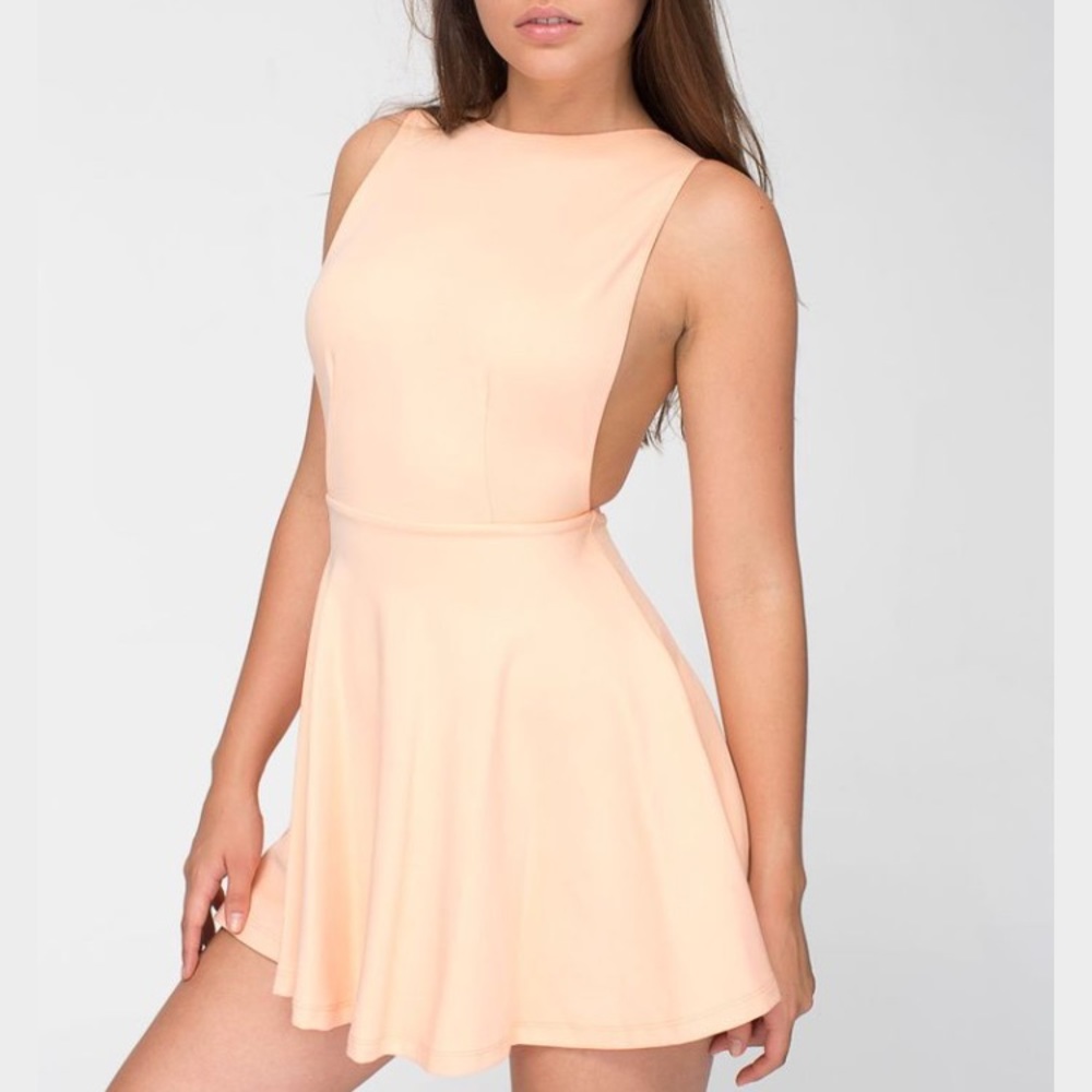 American Apparel Ponte Sleeveless Skater Dress
