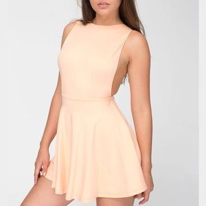 American Apparel Ponte Sleeveless Skater Dress